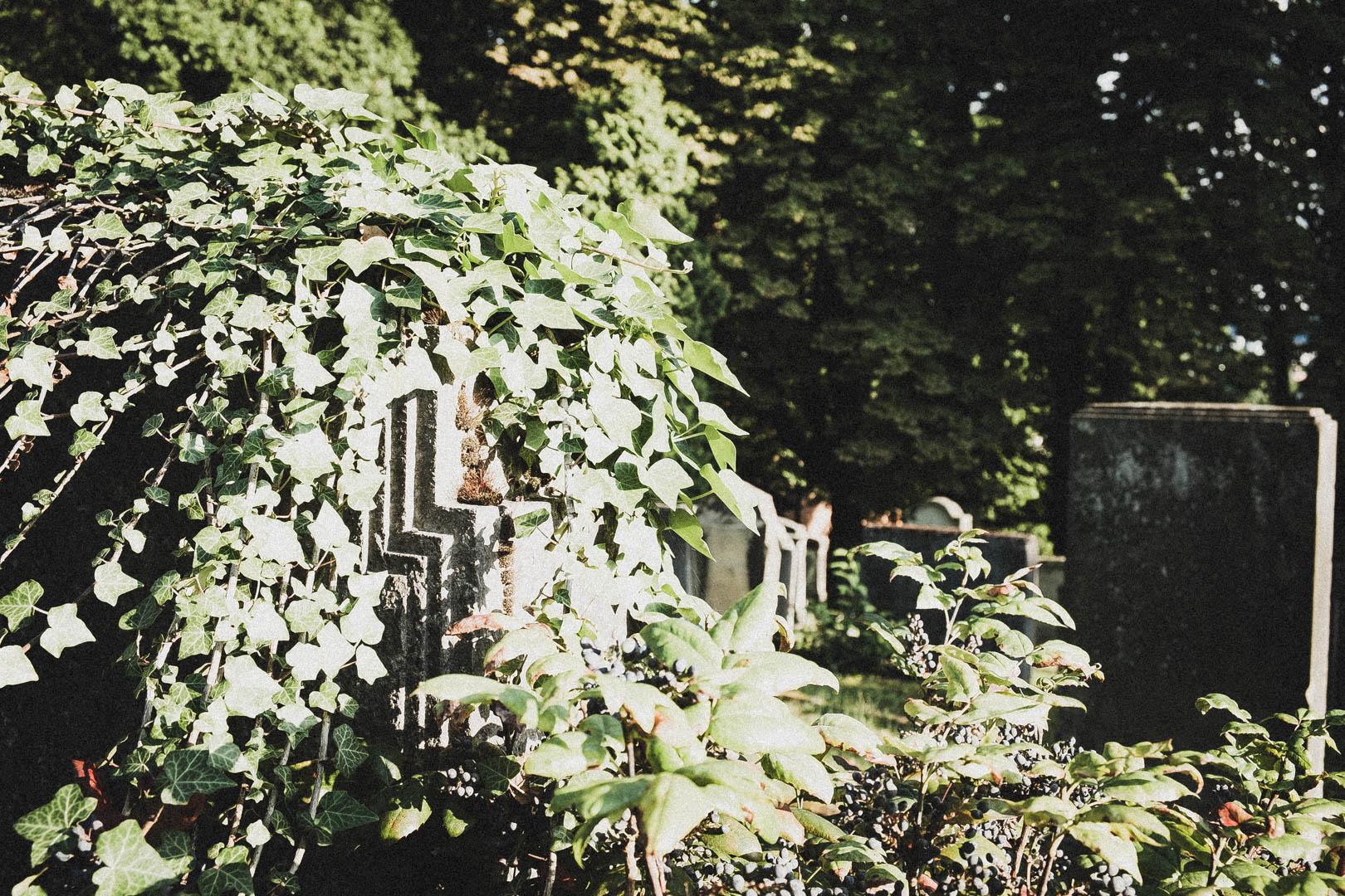 Jüdischer Friedhof Kassel-Bettenhausen